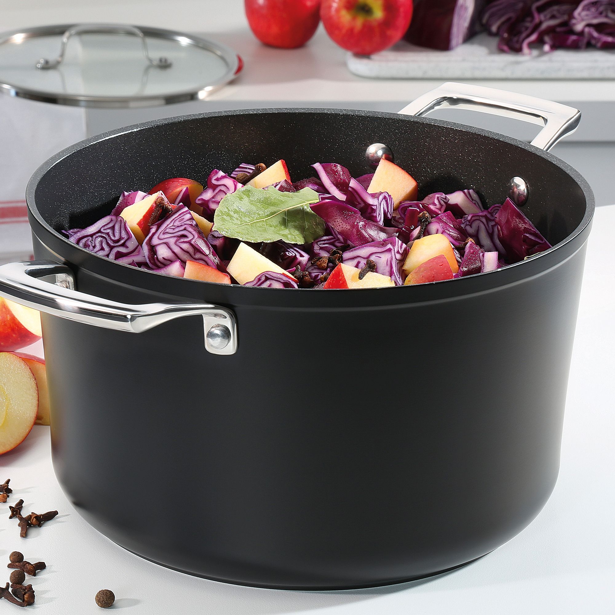 Spring - Roasting pan with glass lid - MERIDIAN INTENSE PRO - 24 cm