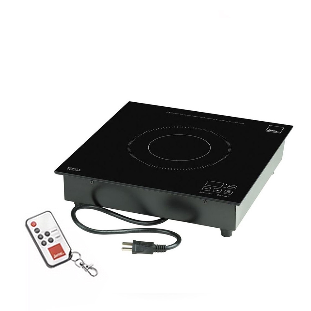 Spring - Built-in induction unit 1.0 kW