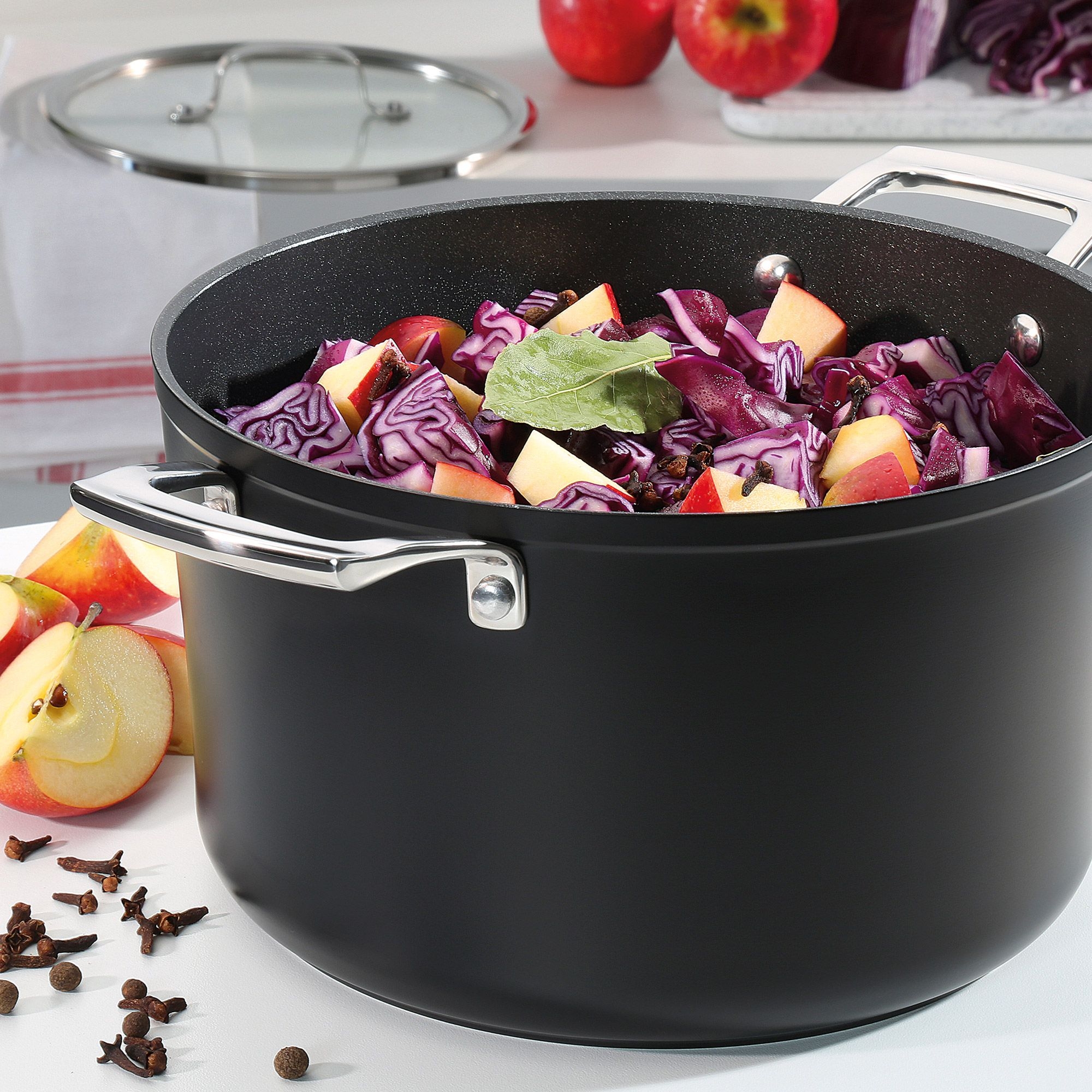 Spring - Roasting pot with glass lid MERIDIAN INTENSE PRO - 16 cm