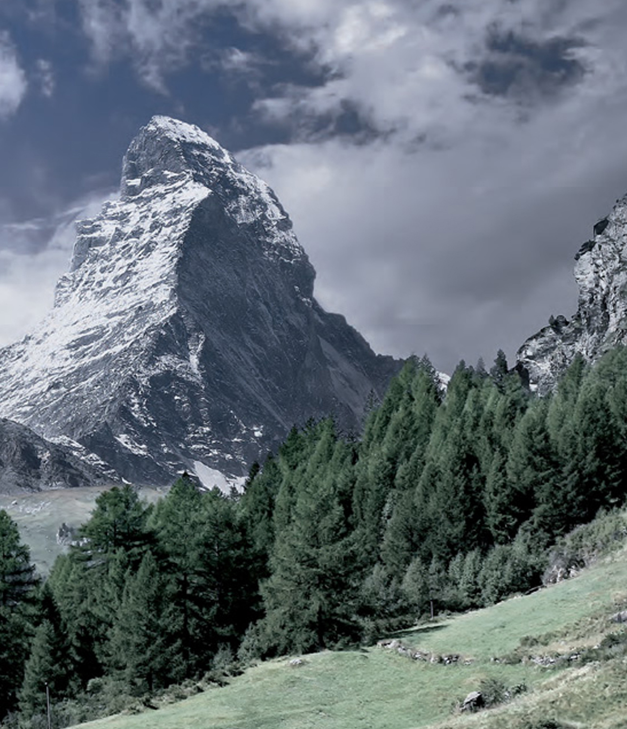 Spring swiss on sale made