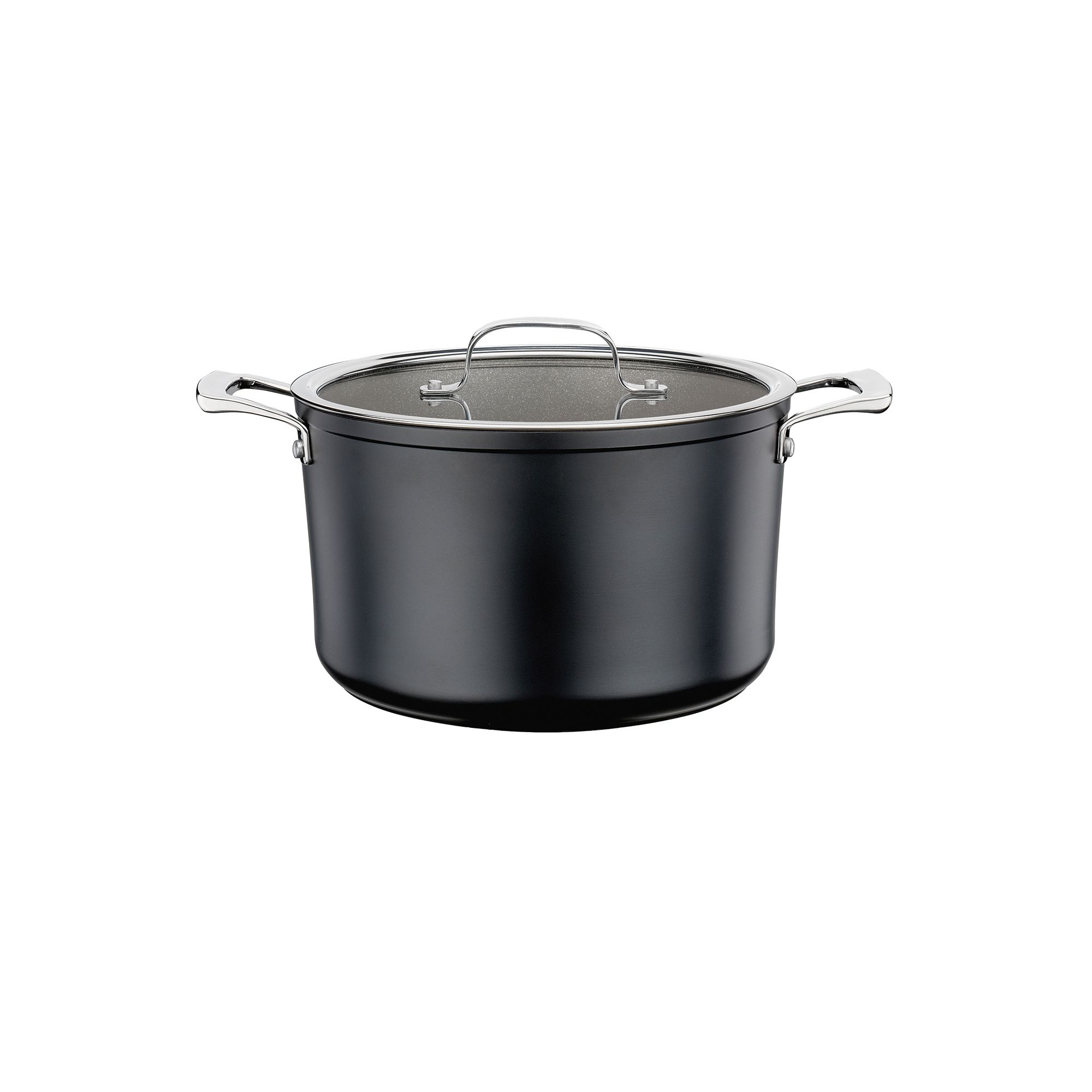 Spring - Roasting pan with glass lid - MERIDIAN INTENSE PRO - 24 cm