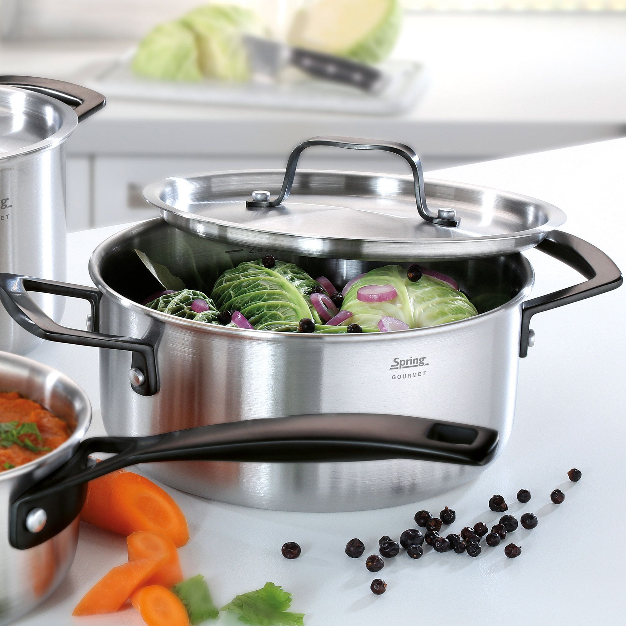 Spring - Frying pot GOURMET 20 cm - black Spring - Frying pot GOURMET 20 cm - black